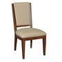 Spectrum Side Chair 77-061
