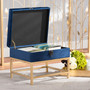 Aliana Glam And Luxe Navy Blue Velvet Fabric Upholstered And Gold Finished Metal Small Storage Ottoman 1 By Baxton Studio