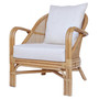 Whitney Rattan Accent Arm Chair 7400050-Cb