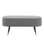 Phoebe Fabric Storage Bench w/ Gold Tip Metal Legs 1600077-572