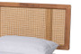 "Nura-Ash Walnut Rattan-Queen" Baxton Studio Nura Mid-Century Modern Walnut Brown Finished Wood and Synthetic Rattan Queen Size Platform Bed