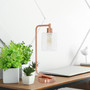 Lalia Home Modern Iron Desk Lamp with Glass Shade, Rose Gold "LHD-2003-RG"