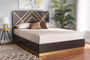 "SEBED13032026-Modi Wenge/Gold-Queen" Baxton Studio Arcelia Contemporary Glam And Luxe Two-Tone Dark Brown And Gold Finished Wood Queen Size Platform Bed