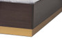 "SEBED13032026-Modi Wenge/Gold-Queen" Baxton Studio Arcelia Contemporary Glam And Luxe Two-Tone Dark Brown And Gold Finished Wood Queen Size Platform Bed