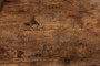 "LCF20256B-Wood/Metal-Bench" Baxton Studio Bardot Modern Industrial Walnut Brown Finished Wood And Black Metal Accent Bench