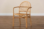 "Tugera-Rattan-DC" Baxton Studio Tugera Modern Bohemian Natural Brown Rattan Dining Chair
