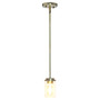 Lalia Home 1-Light 5.75" Minimalist Industrial Farmhouse Adjustable Hanging Clear Cylinder Glass Pendant Fixture - Antique Brass "LHP-3011-AB"