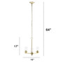 Lalia Home 3-Light 15" Classic Contemporary Clear Glass And Metal Hanging Pendant Chandelier - Gold "LHP-3012-GL"