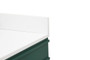 48 Inch Single Bathroom Vanity In Green With Backsplash "VF31848GN-BS"