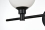Cordelia 2 Light Black And Frosted White Bath Sconce "LD7317W19BLK"