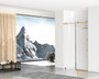 Frameless Shower Door 48 X 76 Brushed Gold "SD101-4876BGD"