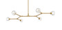 Zayne 6 Light Pendant In Gold "3508D50G"