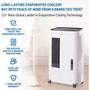 Honeywell 176 Cfm Indoor Portable Evaporative Air Cooler - White "TRADDNG7PC-TAN"
