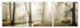 Modrest Mist 3-Panel Photo On Canvas VGSCSH-71192ABC