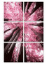Modrest Blossom Trees 6-Panel Photo On Canvas VGSC-SH-71596ABCDEF