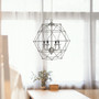Elegant Designs 4 Light Hexagon Industrial Rustic Pendant Light, Brushed Nickel "PT1005-BSN"