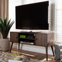 Alard Mid-Century Modern Walnut Brown Finished 2-Door Wood Tv Stand TV8002-Columbia Walnut-TV By Baxton Studio