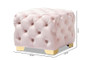 Avara Glam And Luxe Light Pink Velvet Fabric Upholstered Gold Finished Button Tufted Ottoman TSFOT029-Light Pink/Gold-Otto By Baxton Studio