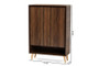 Landen Mid-Century Modern Walnut Brown and Gold Finished Wood 2-Door Entryway Shoe storage Cabinet LV10SC10151WI-Columbia/Gold-Shoe Cabinet By Baxton Studio