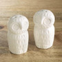 Owl Salt Pepper Shaker, Set Of 2, Pack Of 12 "638044"