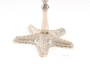 Star Fish Candle Holder "ND057"