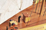 Bluenose Ii Extra Large Ship Model "Y074"