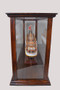 Display Case For Cruise Liner Midsize Classic Brown "p096"