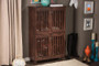 Fernanda 4-Door Oak Entryway Shoes Tall Cabinet SC864574 A-Dirty Oak By Baxton Studio