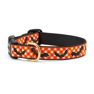 Halloween Batty Collar and Leashes for Dogs Halloween Batty Collar and Leashes for Dogs