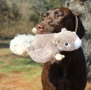 Tough! Reinforced mesh fabric for longer-lasting fun
Squeaker sewn into separate pouch & stitched into seam for extra protection Tough! Reinforced mesh fabric for longer-lasting fun
Squeaker sewn into separate pouch & stitched into seam for extra protection
