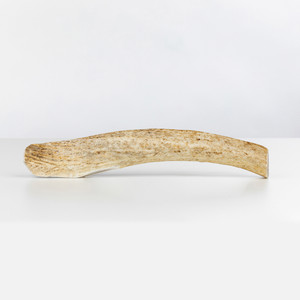 Split Elk Antlers Split Elk Antlers