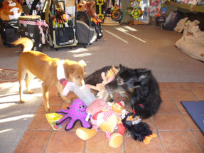 On The 11th Day Of Christmas….. On The 11th Day Of Christmas…..