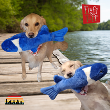 Fish, Frogs & Turtles Have Taken Over Decadent Dogs This Week!