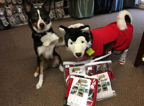 Warmest Coats For Dogs At Decadent Dogs Warmest Coats For Dogs At Decadent Dogs