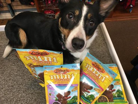 Leap’s Wednesday Review: Zuke’s Mini Naturals Are BEST Training Treats! Leap’s Wednesday Review: Zuke’s Mini Naturals Are BEST Training Treats!