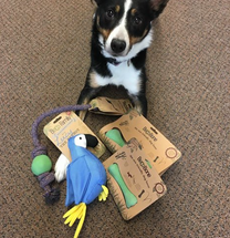 Leap Loves Going Green! Green Toys That Is! Leap Loves Going Green! Green Toys That Is!