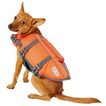 10 Tips For Boating Safety For Dogs 10 Tips For Boating Safety For Dogs