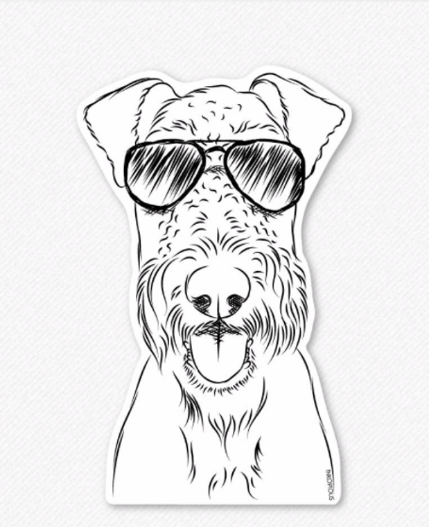 Airedale Terrier-Andy wears Aviators