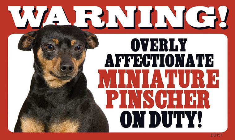 Warning Affectionate Miniature Pinscher Sign