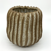 Brown Ribbed Coral Planter for sale at East Austin Succulents