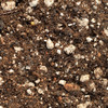 Succulent Gold cactus & succulent soil