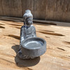 Buddha Offering Dish Tillandsia Holder