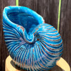 Nautilus Shell Planter