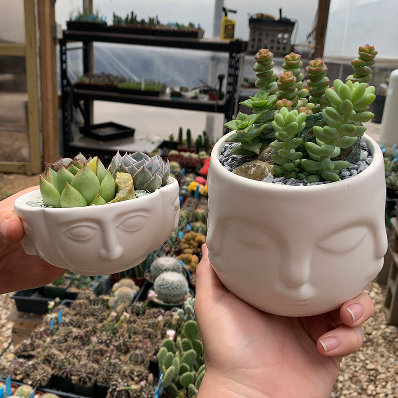 How to make Simple Arrangements
