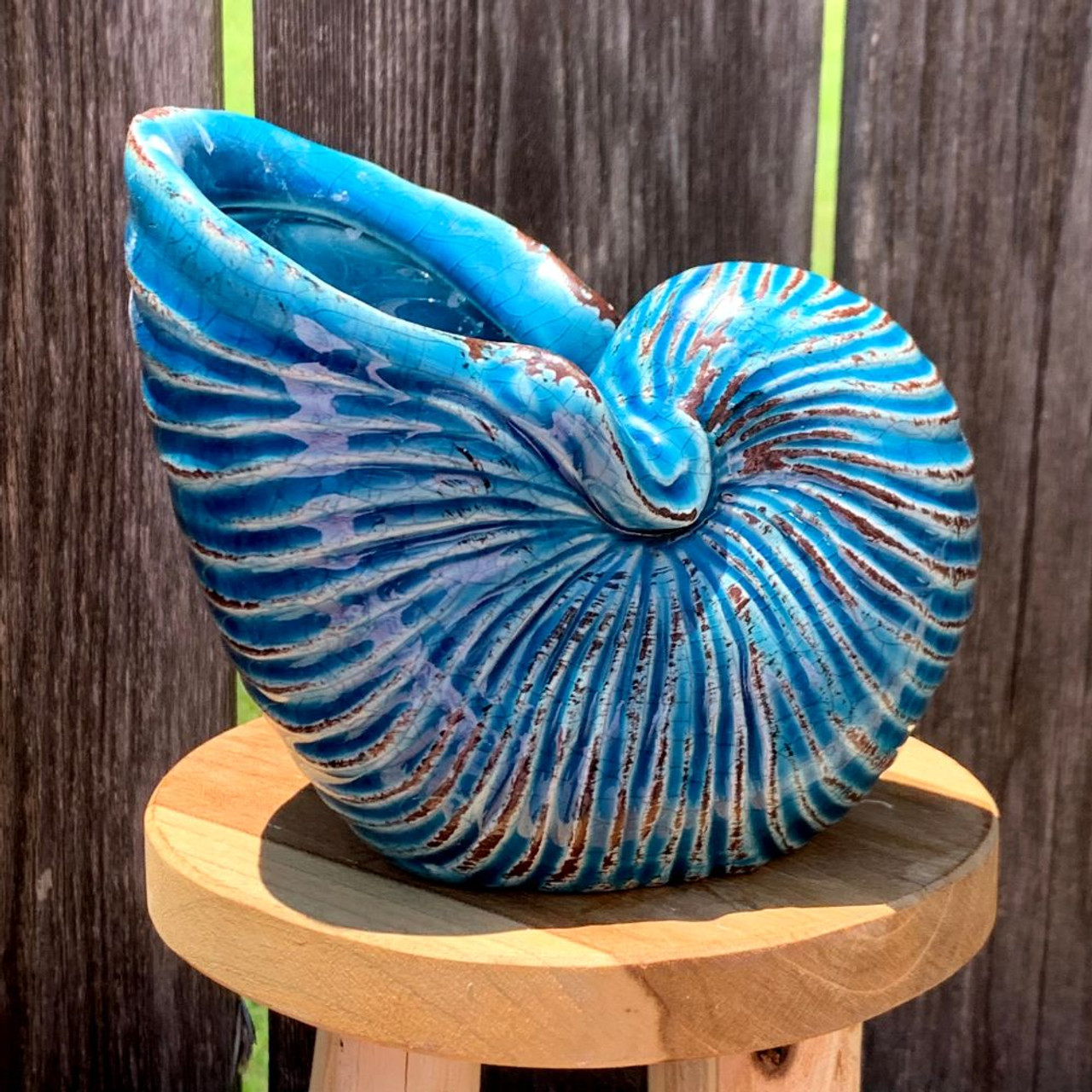 Ceramic Nautilus Shell Pot - Nautical Garden Decor - California