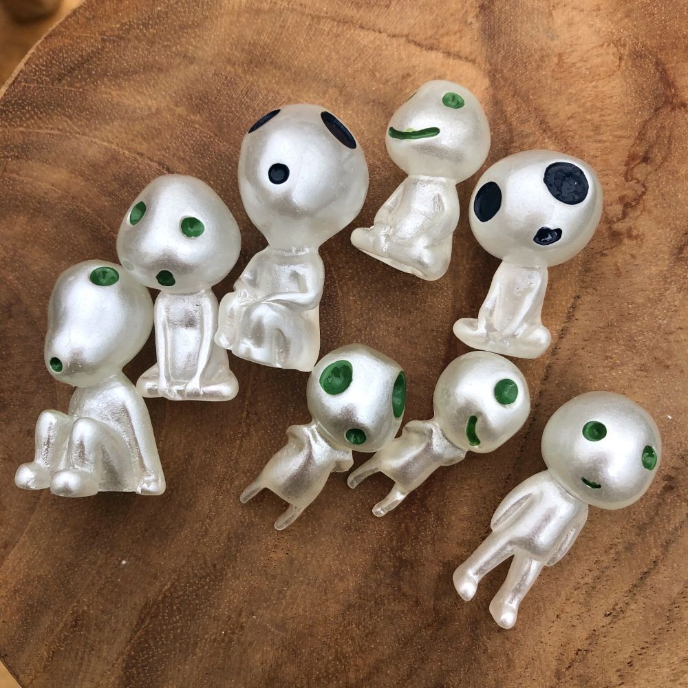 East Austin Succulents