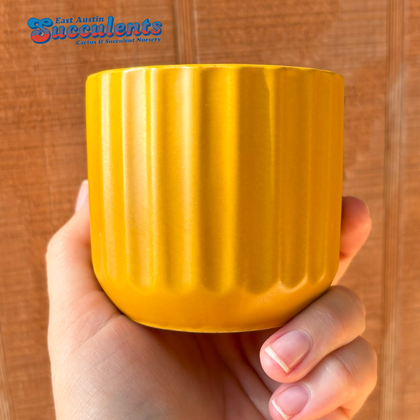 Yellow Ribbed Planter