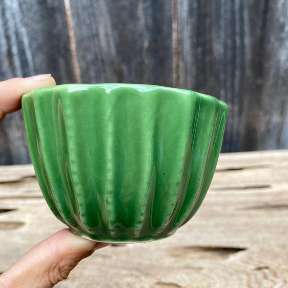 Emerald Green Mini Cactus Cup Planter