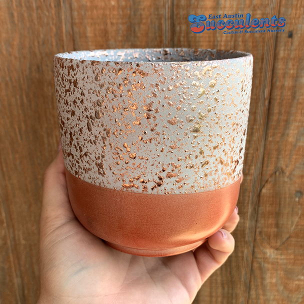 Rose Gold Speckled Cylinder Planter [Medium] for sale at East Austin Succulents