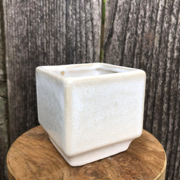 Cream Cube Planter